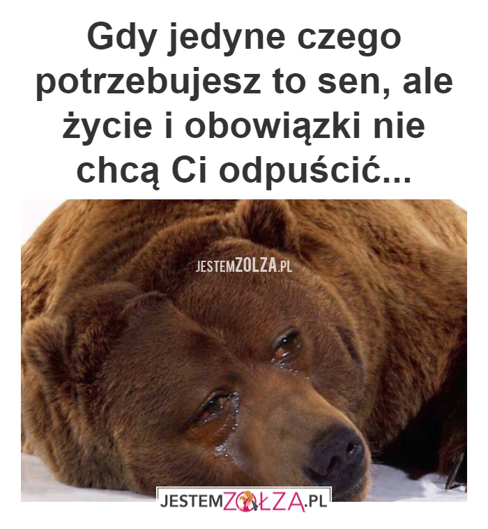 Obowiązki i nie tylko...