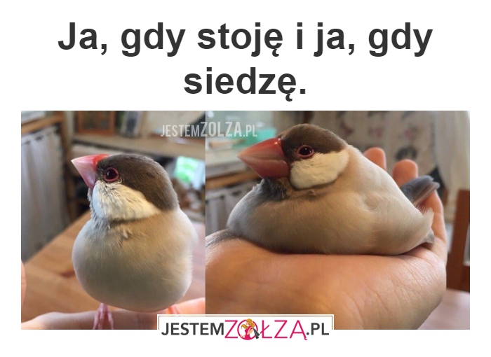 Ehe, norma