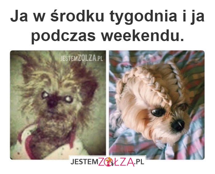 Kiedy lepiej?