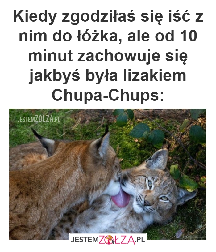 Kiedy zgodziłaś