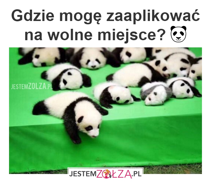 Wymarzona praca