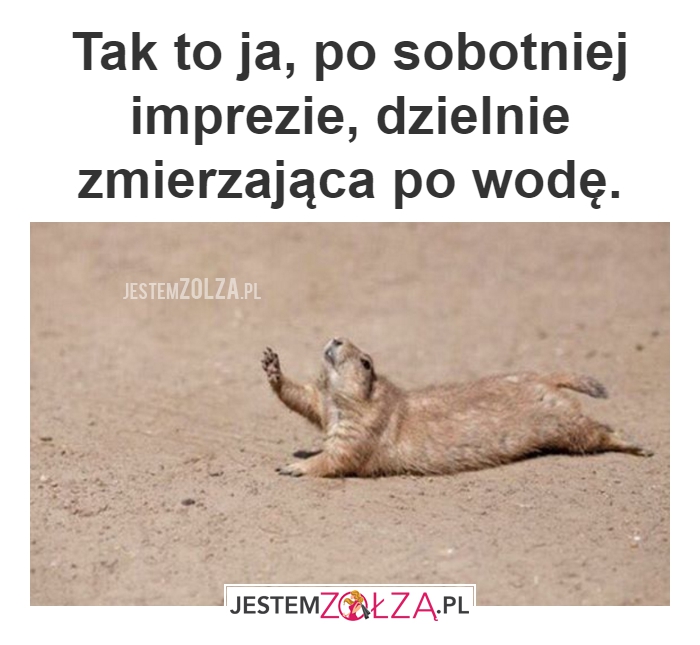 Niedzielny kac