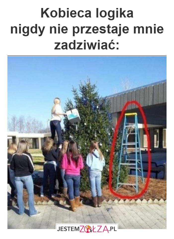 Kobieca logika nigdy...
