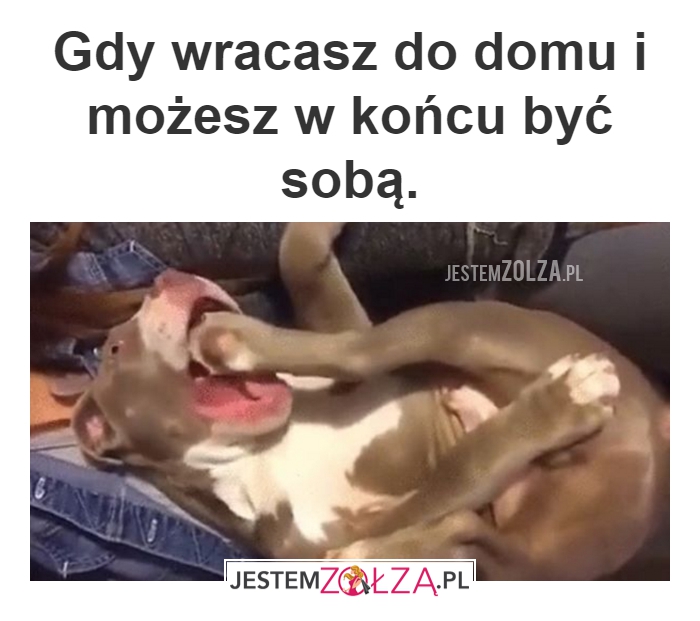 Dom