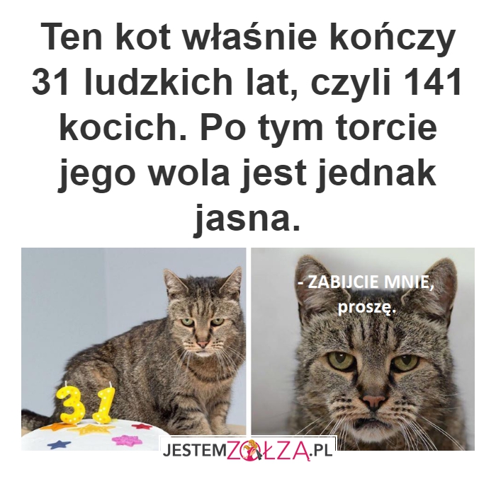Doświadczenie