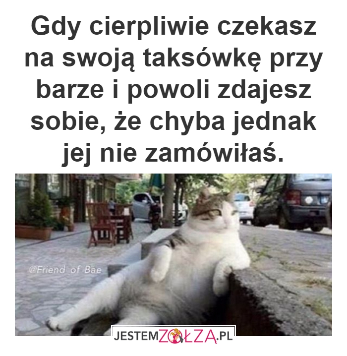 Czekam i czekam