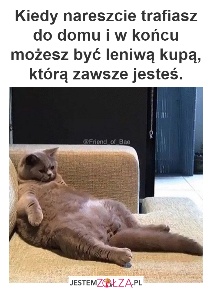 Leń leniowi nierówny