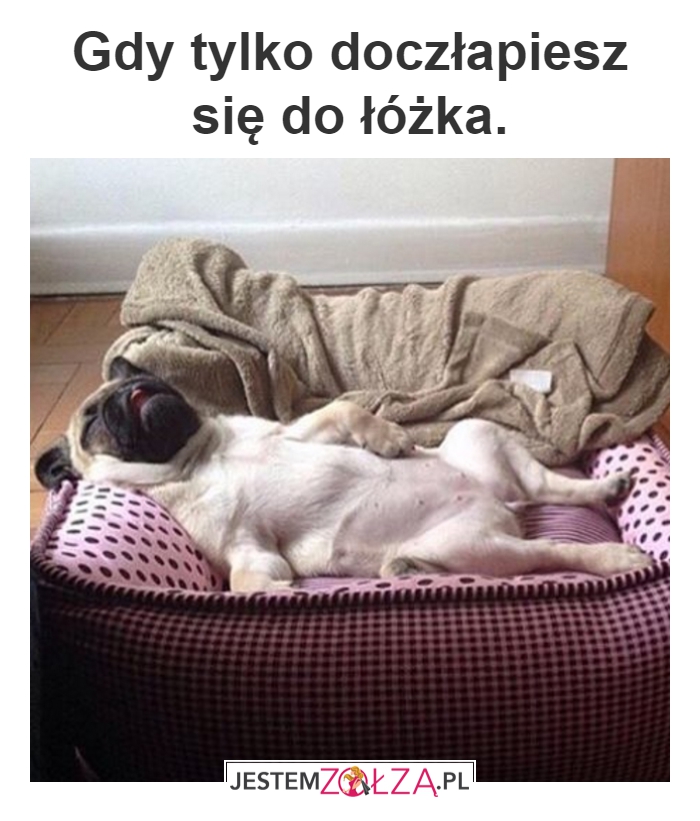 Szybki sen