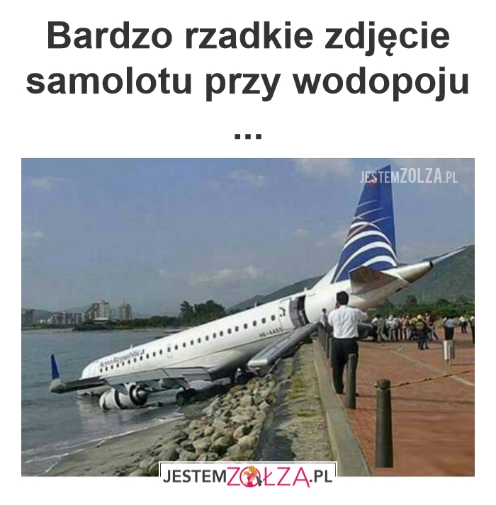 Ciekawostki przyrodnicze