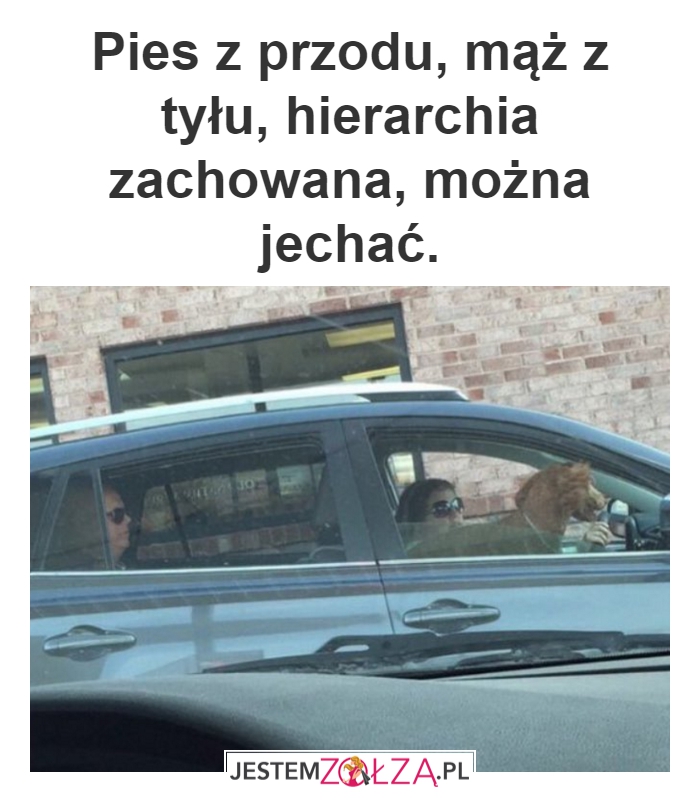 Pies i mąż