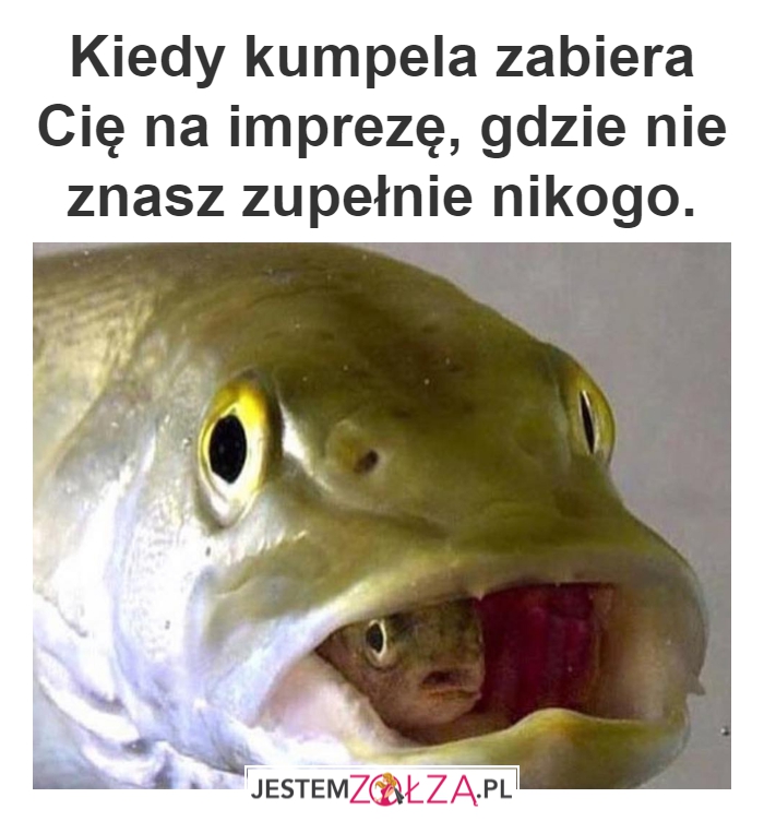 Impreza ze znajomą