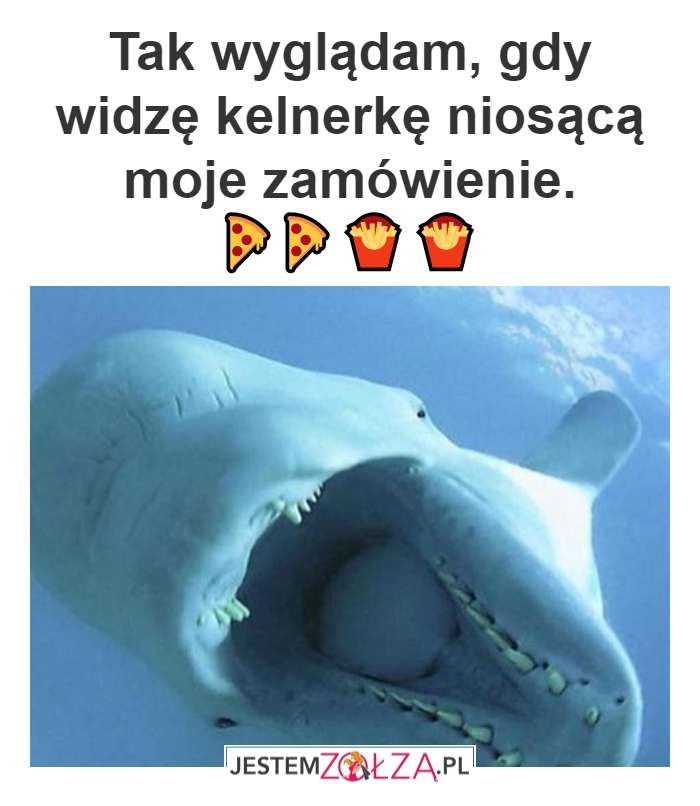 Żarcie idzie