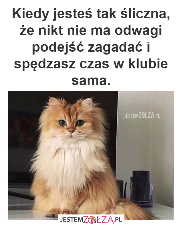 Śliczna
