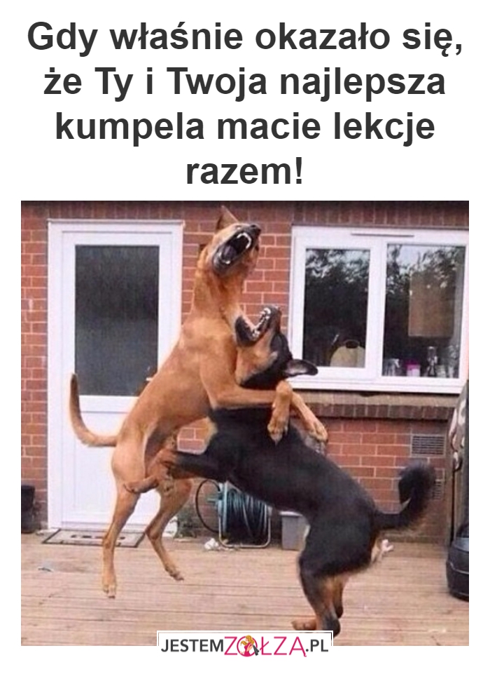 Lekcje