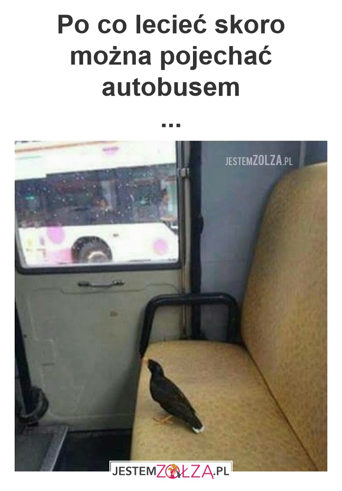 Nowoczesny ptaszek