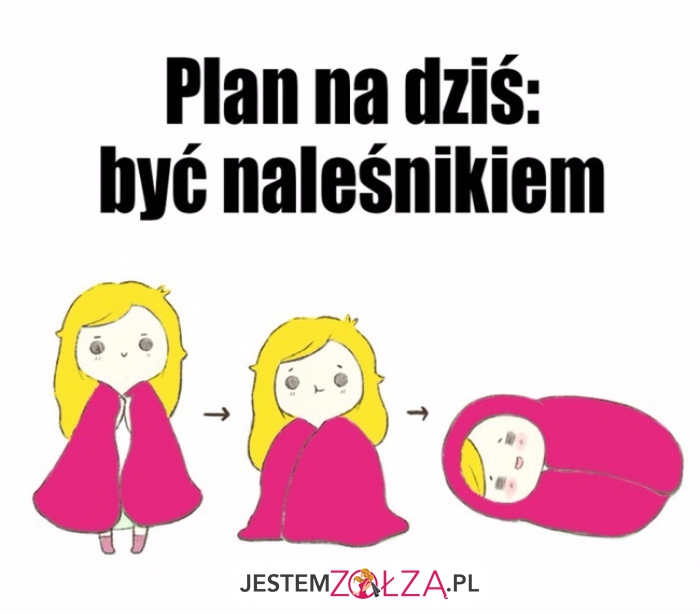 Plan na dziś