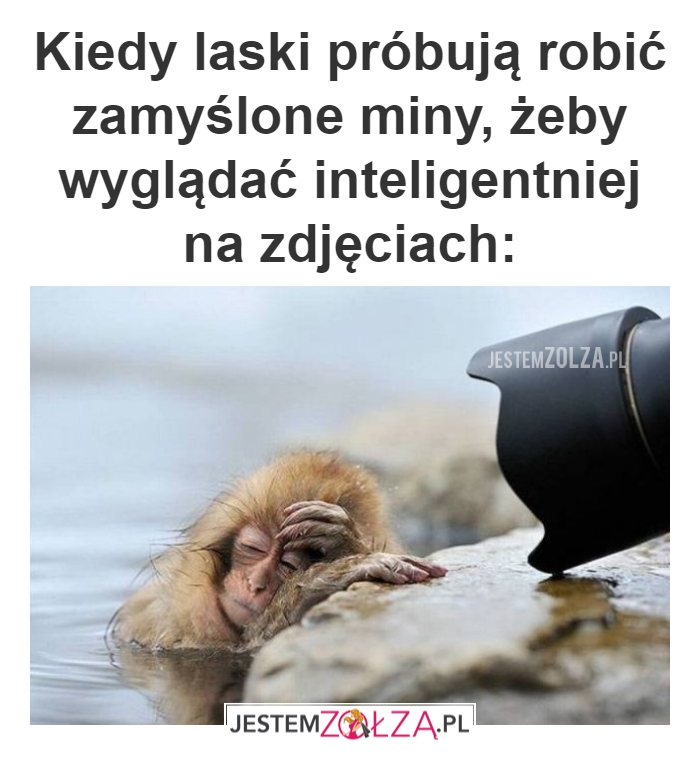 Mini lasek