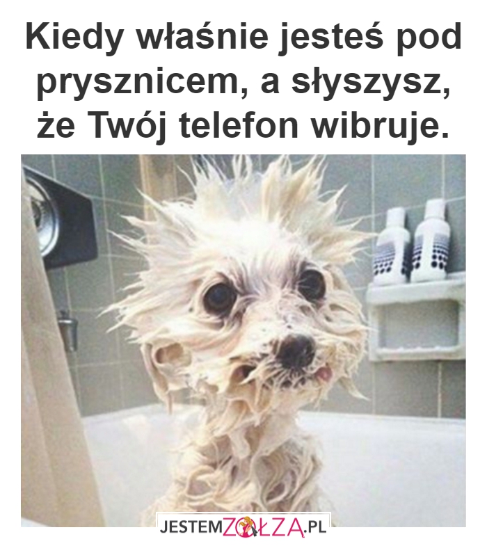 Prysznic