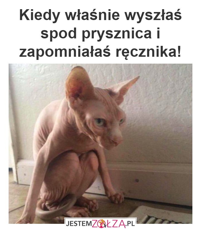 Brrr, zimno!