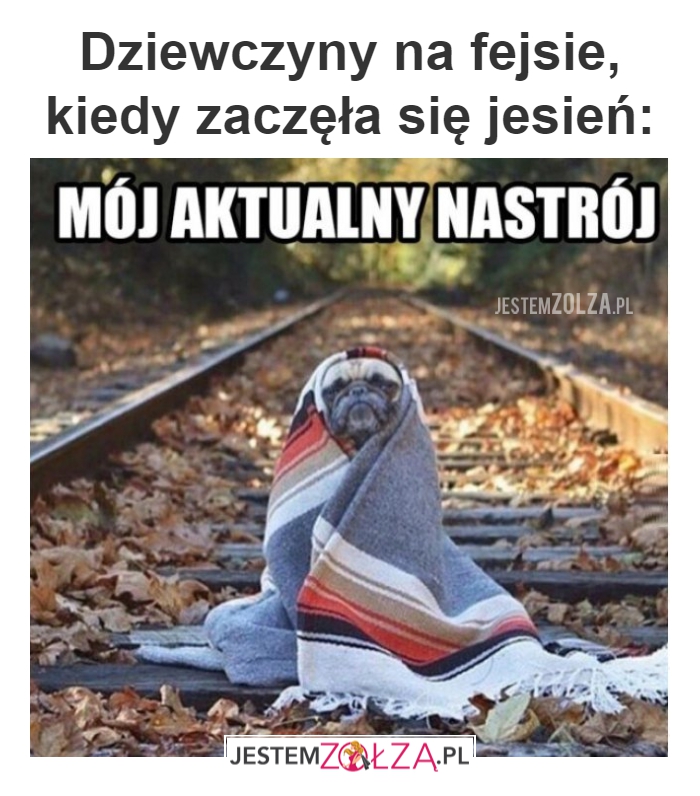 Jesień się zaczęła