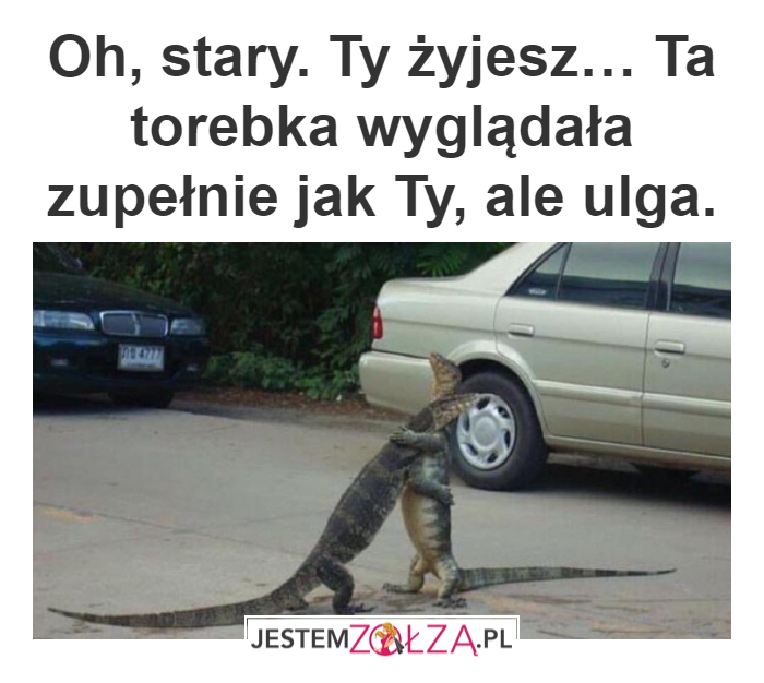 Ulga