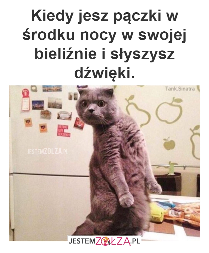 To nie ja
