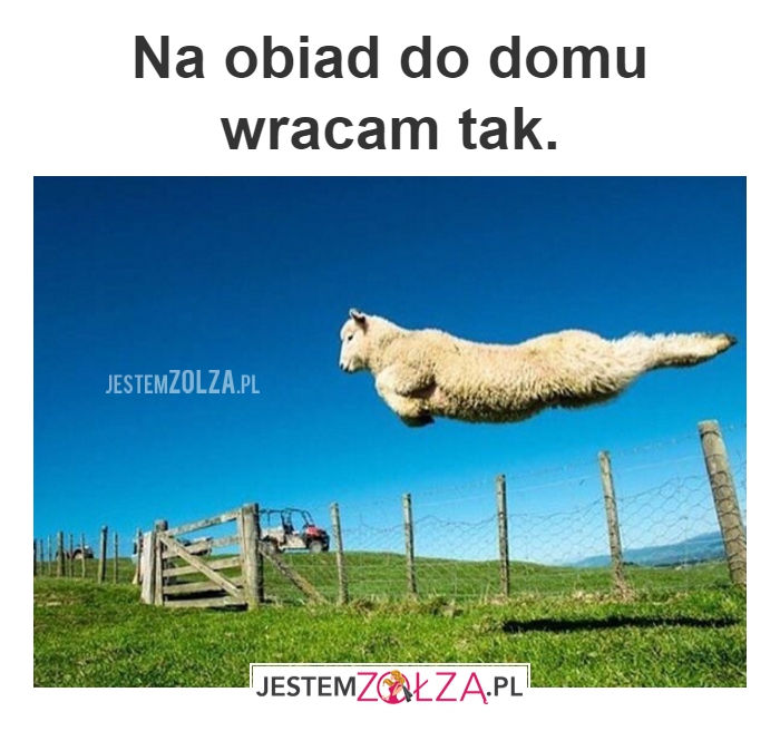 Obiadek!