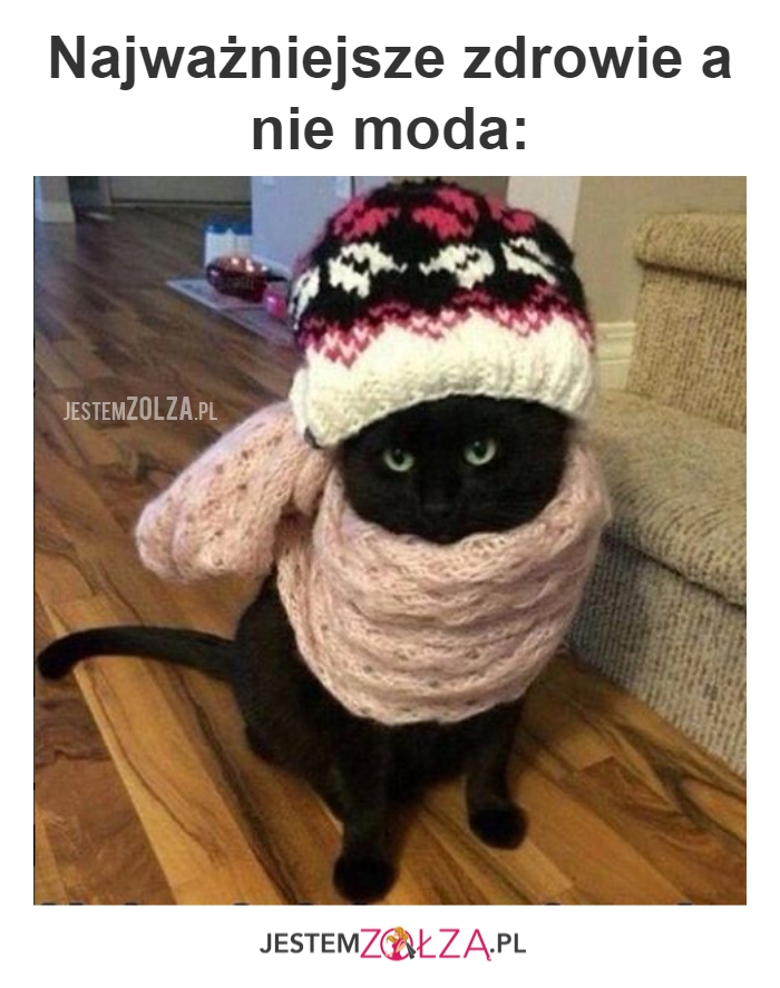Zdrowie