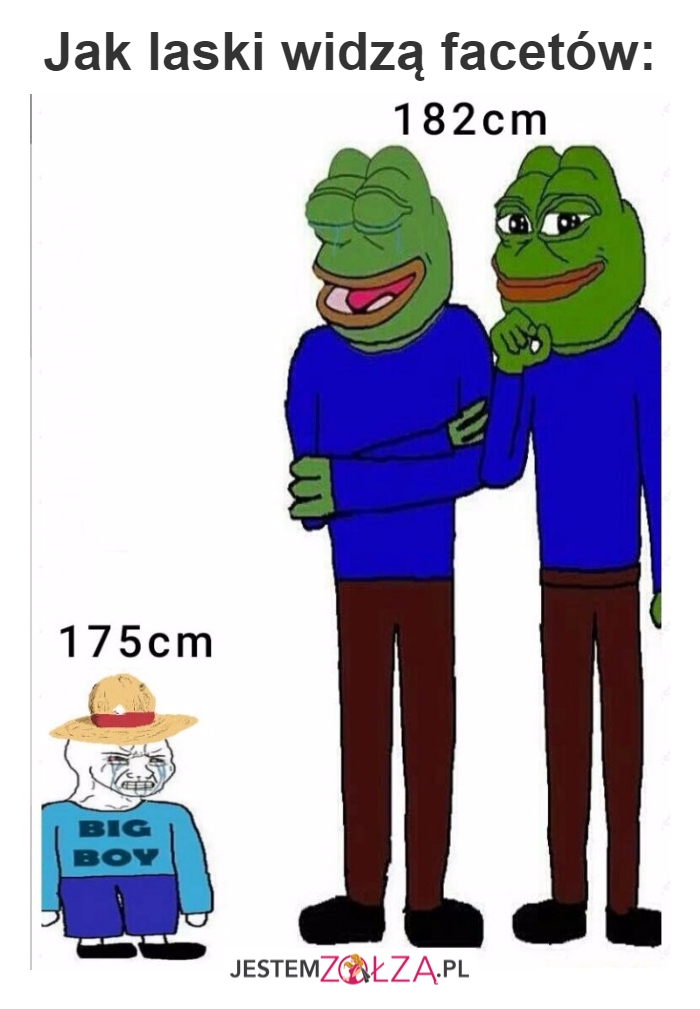 Jak laski widzą...