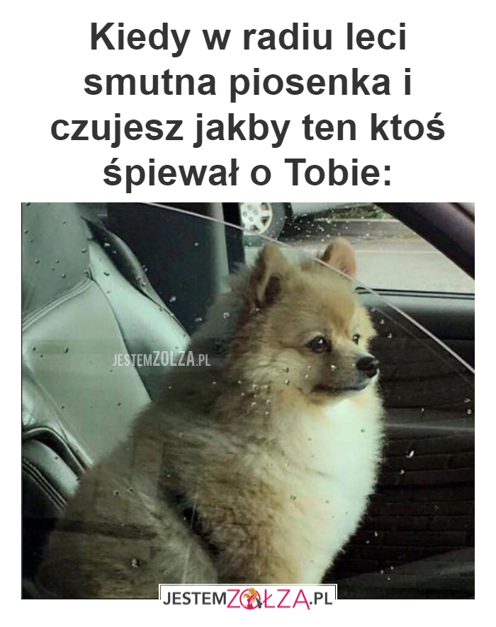 Piosenka