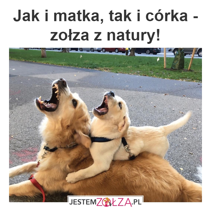 Zołza z natury