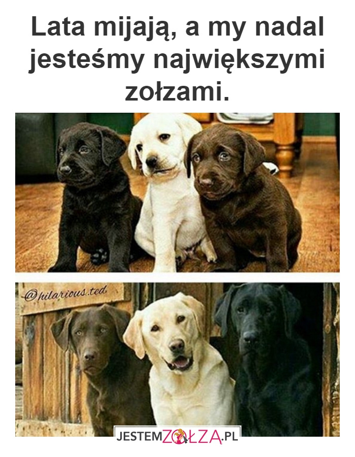 Największe zołzy