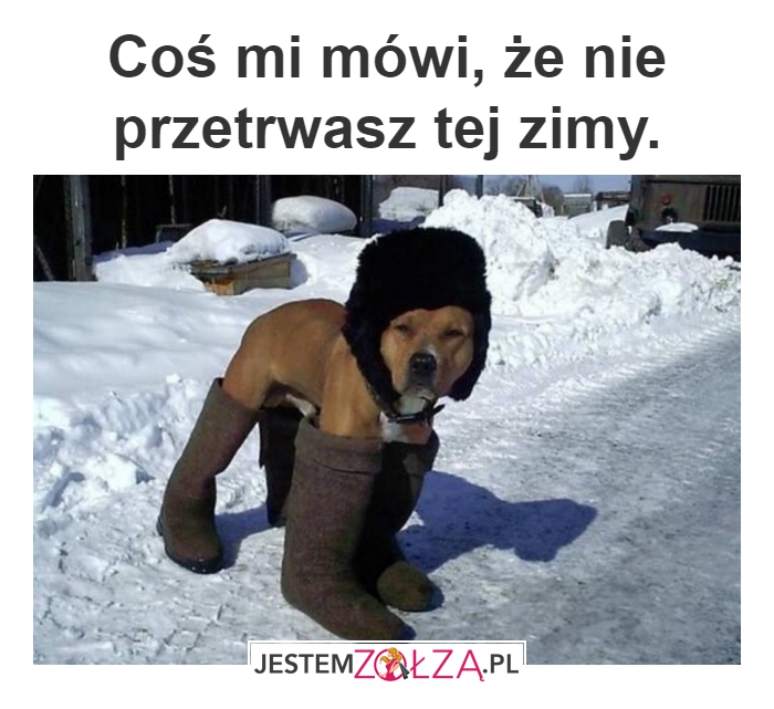 Zima zła
