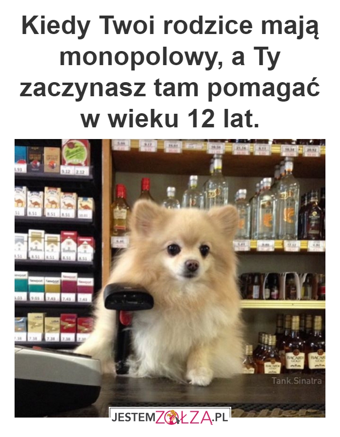 Monopolka
