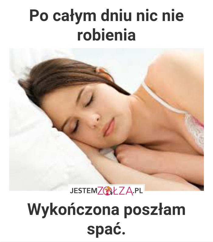 Lenistwo