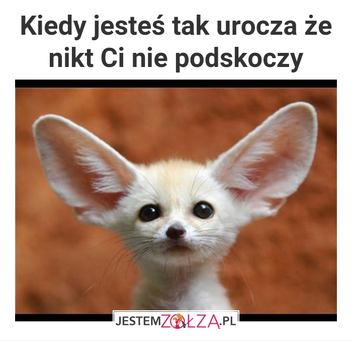 Urocza