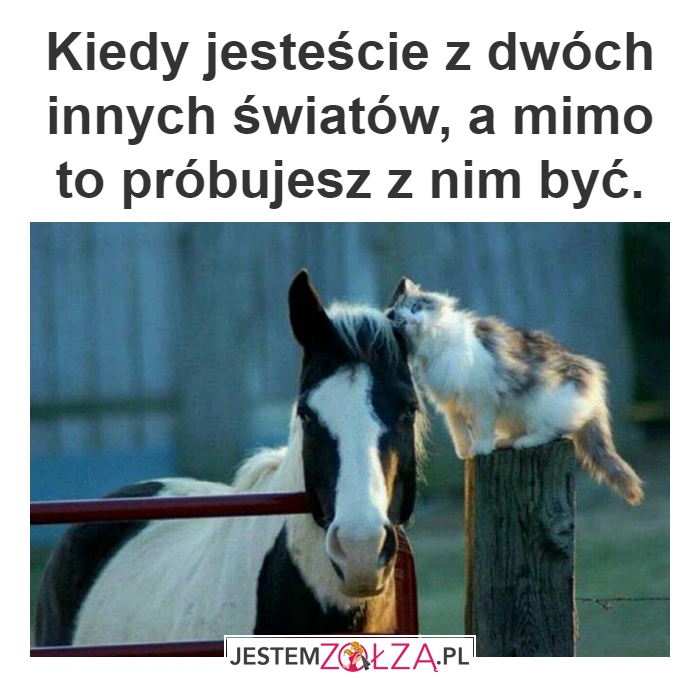 Nie ten świat