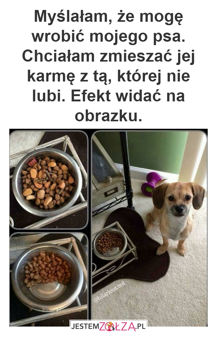 Karma