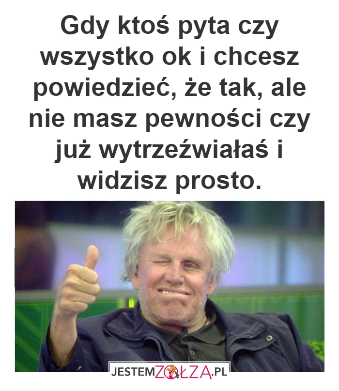 Wzrok