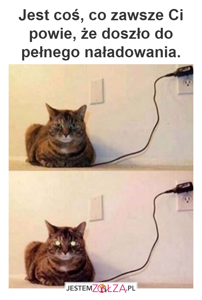 Loading