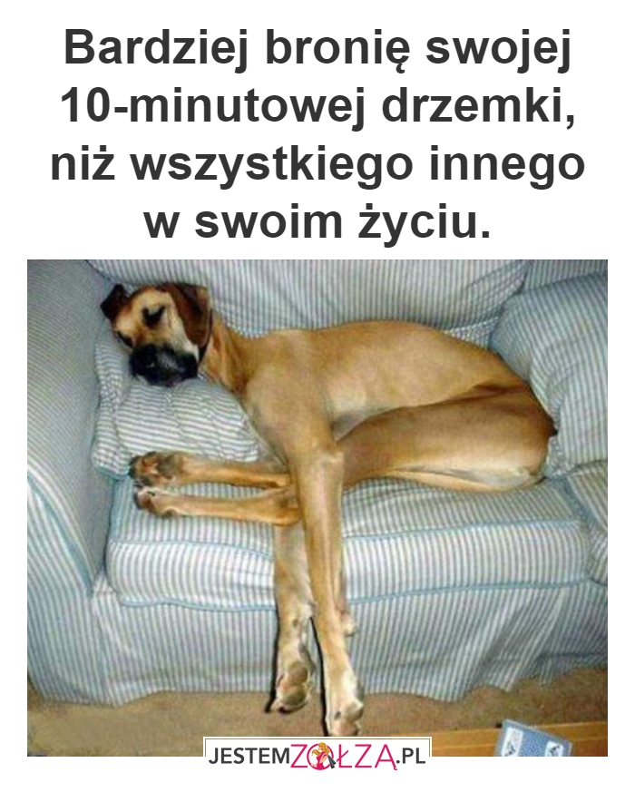 Drzemka