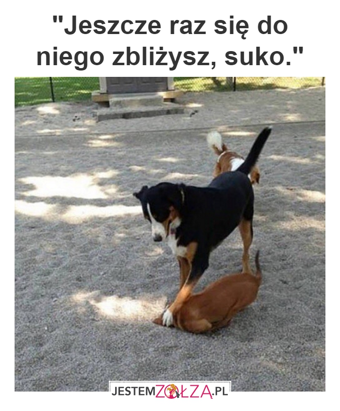 Tylko spróbuj