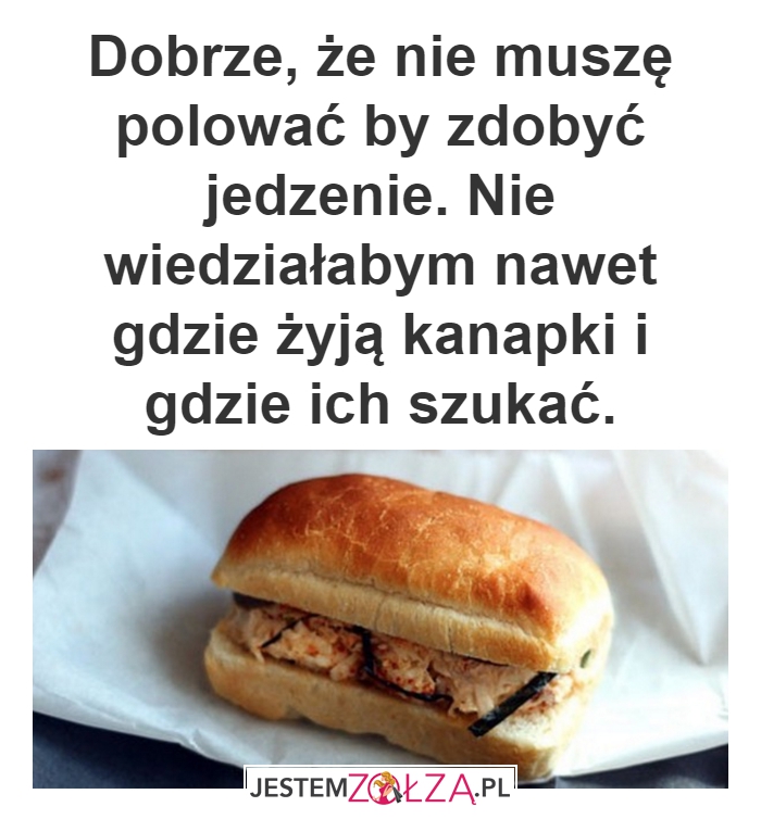 Polowanie