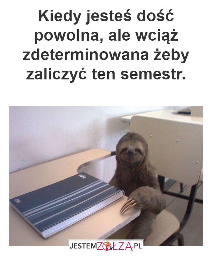 Determinacja
