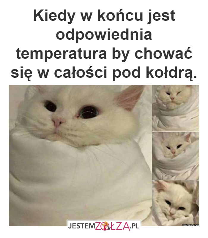 Temperatura