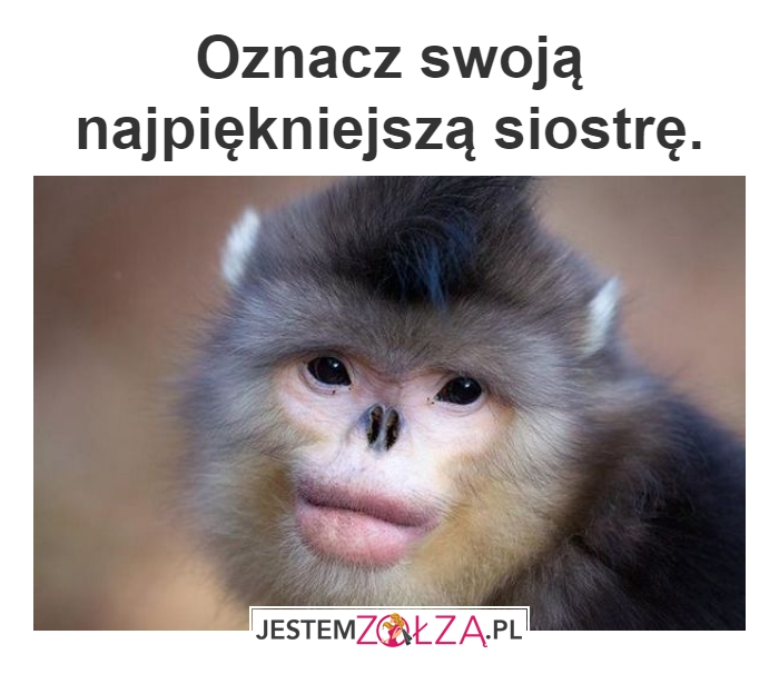 Siostra
