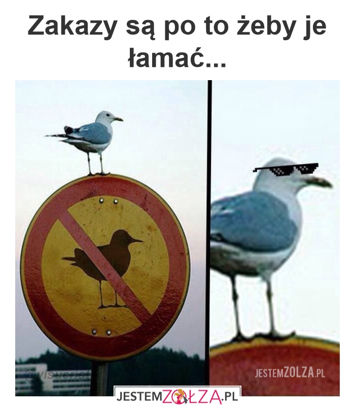 Zakazy