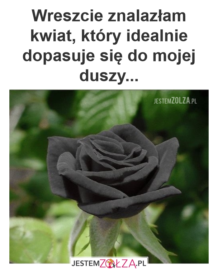 Mój charakter
