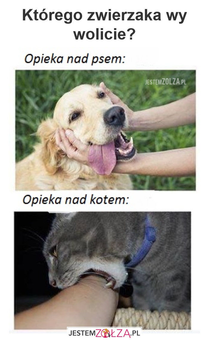 Petting dog. Pet-Pet Мем. Мемы Dog petting. Pet Pet meme рука.