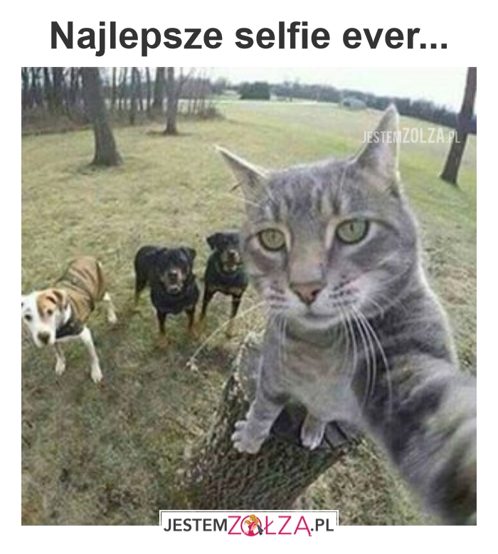 Selfie
